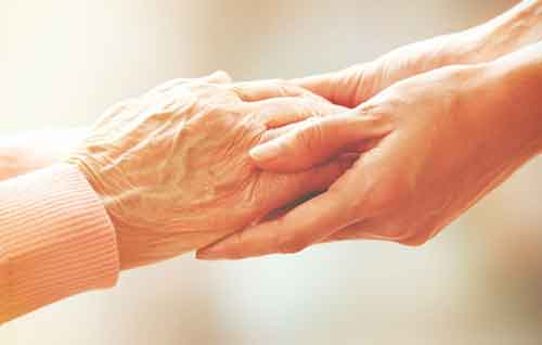 palliative care services